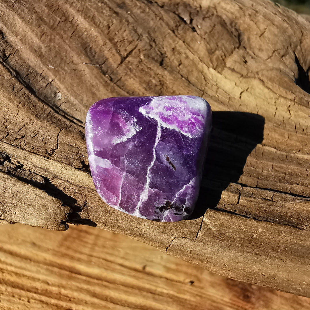 Sugilith - Geist über Materie