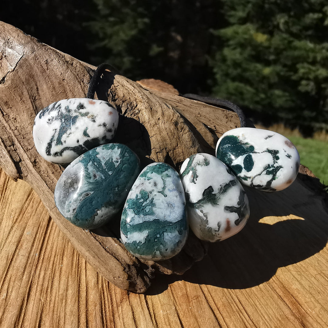 Baumachat - NatURverbindung & Fülle