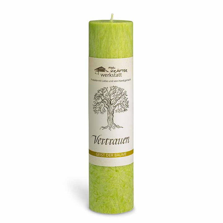 VERTRAUEN - BIRKE - Geist der Bäume - Allgäuer Heilkräuter Kerze