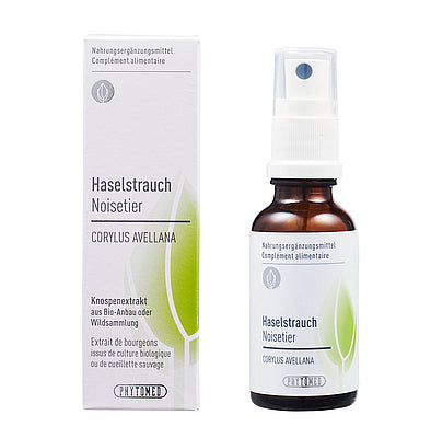 HASELSTRAUCH Corylus avellana Knospenextrakt 30ml